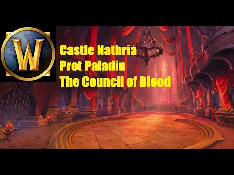 World of Warcraft | castle Nathria | The Council of Blood | Protection Paladin Guide