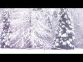 SNOWFALL WITH LILLY'S SONG