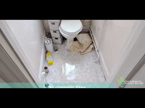 Mould Removal in Dublin – Why Mould Keeps Coming Back (Full Professional Survey)