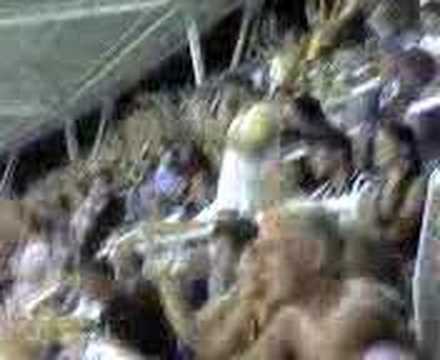 Botafogo 1X0 River Plate