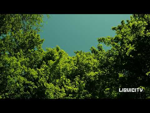 Technimatic - Time On Our Side ft. Ruth Royall