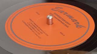 BARRINGTON LEVY ~ Skylarking