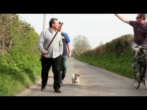 Luka Bloom, The Ride