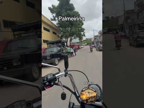 Palmeirina, cidade massa. PE 187 em péssimo estado #proletariusinfectus