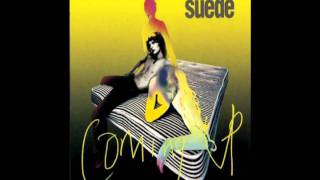 suede - picnic by the motorway