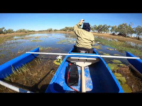 Camping Spots - Camooweal Billabong Qld