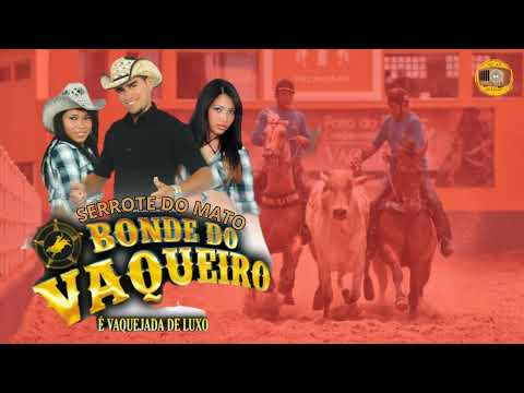 BONDE DO VAQUEIRO EM SERROTE DO MATO 2014