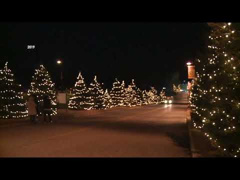 Newton Festival of Lights