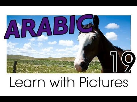 Learn Arabic Arabic Vegetable Vocabulary