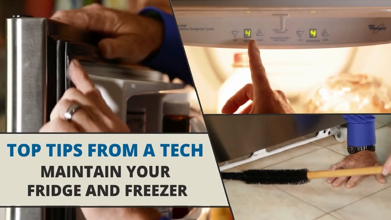 How to Maintain Your Refrigerator -- Expert Tips from a Sears Tech