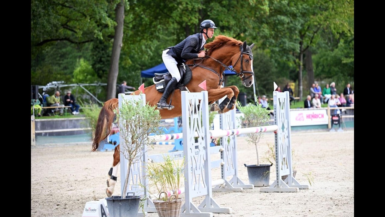 Top youngster for show jumping. video 1