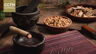 Se inaugura en Singapur el XXIII Congreso Mundial de Medicina Tradicional China
