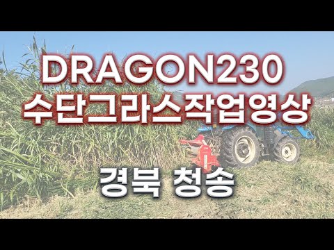 드래곤230