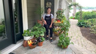 Let's Grow: Veg Out ENGLISH GARDENS