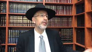 Parashat Tazriya Metsora Deux oiseaux symbole de Twitter