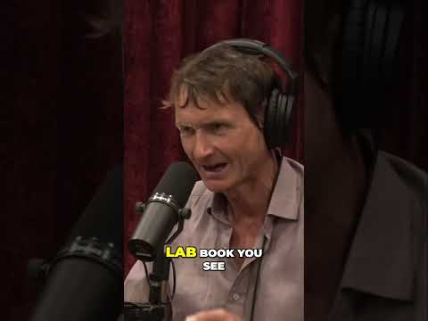 Unlocking the Secrets of Albert Hoffman's Original LSD Lab Books