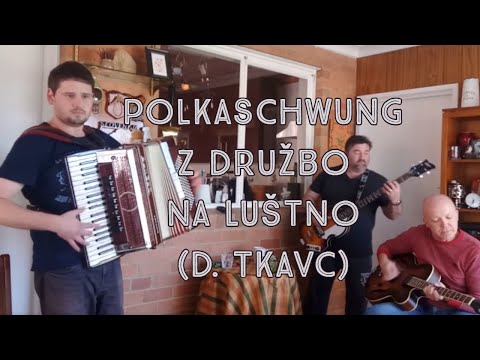 Alpski Muzikantje - Polkaschwung/Z Družbo Na Luštno (Damir Tkavc)