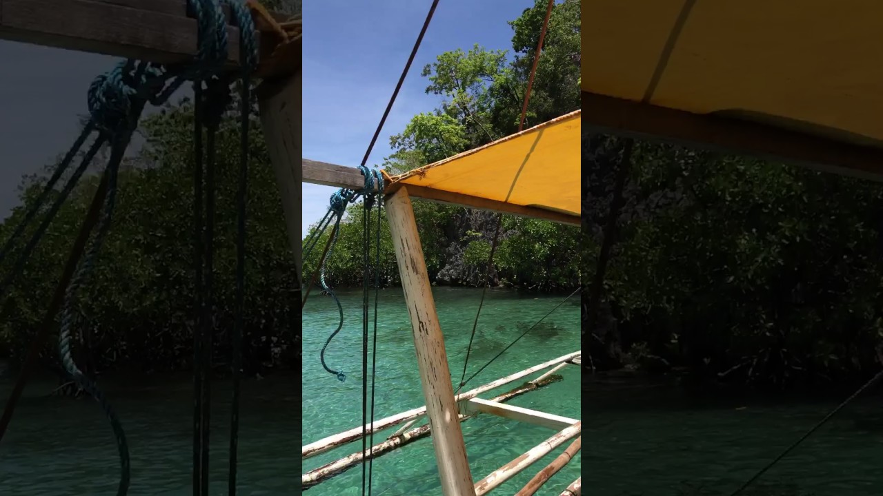 YouTube Short thumbnail