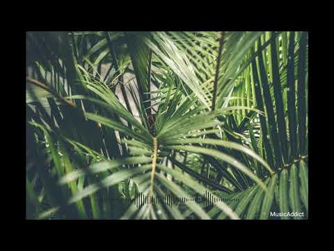 Jay Wheeler - Sin Ti ft. Brytiago | Benjaxz Remix