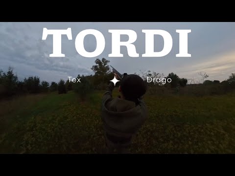 Thrush Hunting at Spollo First Shots of the Pass 2025/26 #Hunting #Thrushes #Spollo #HuntingLife