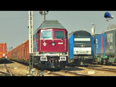 Trenuri & Activitate Feroviară 🚂🚆🚂 Trains & Rail Activity in Episcopia Bihor - 24 March 2022