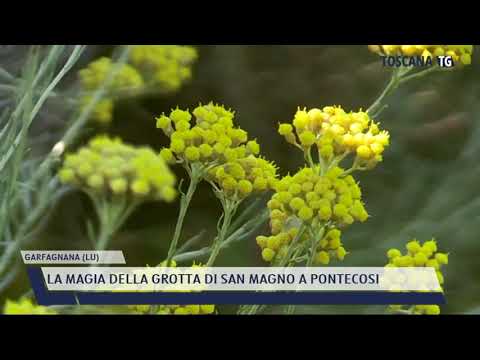 2021-07-20 GARFAGNANA (LU) - LA MAGIA DELLA GROTTA DI SAN MAGNO A PONTECOSI