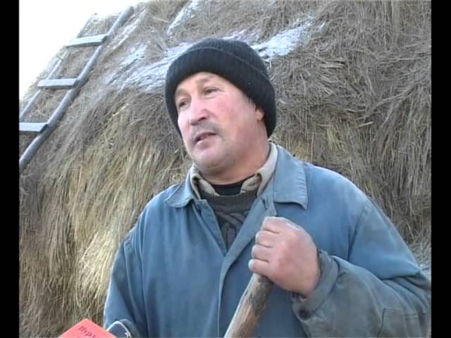 Субсидия на сумму 650 000.