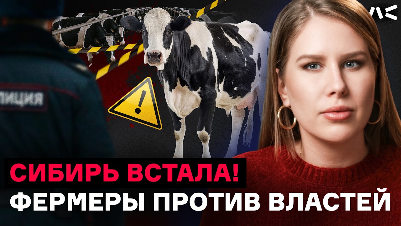 Катастрофа в Сибири! Народ вышел против чиновников