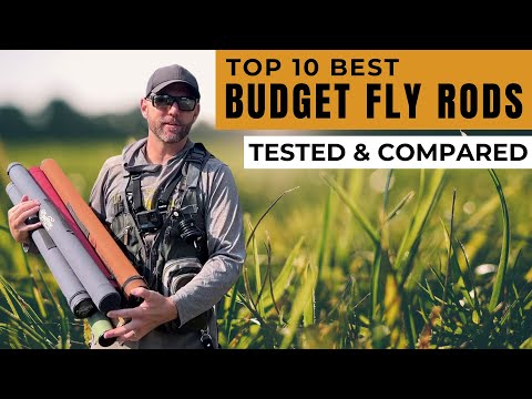 Best Budget Fly Rods (Reviewed & Compared)