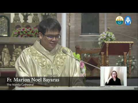 Homily 20 November 2022