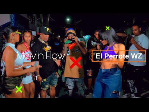Melvin flow ❌ El perrote Wz - Que Fue Lo Que Le Dieron 👹 ( Video Oficial )