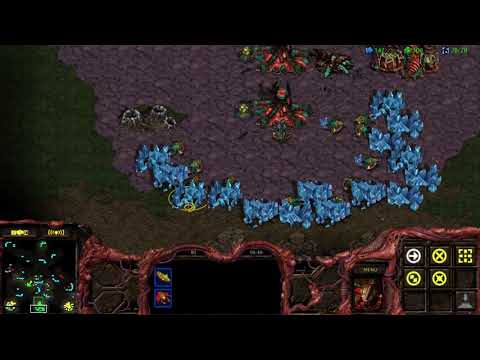 3v3 BGH Big Game Hunters Zerg Gameplay Starcraft Remastered 2019 #27