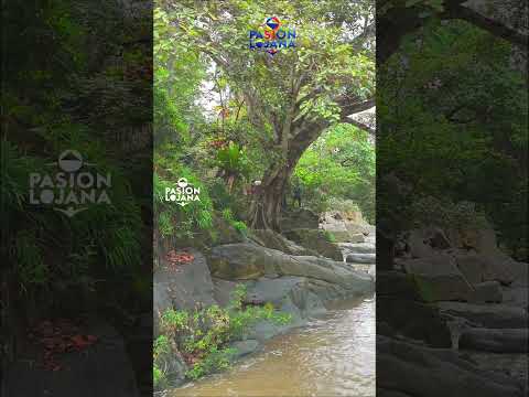 Pindal #lojaecuador #turismo #loja #pindal