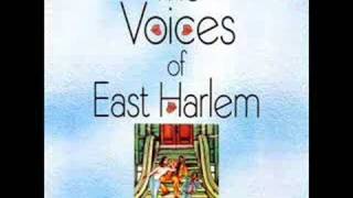 The Voices Of East Harlem - Little People