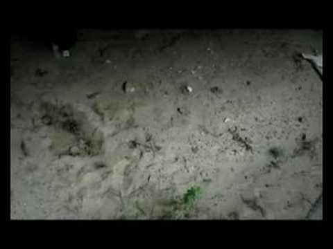 3run family Latvija-Rassel and Rebek!