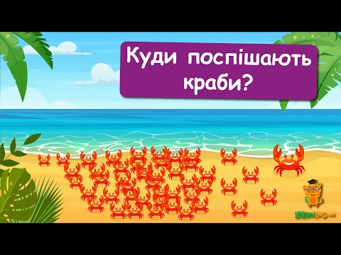 Дива природи. Явища навколо нас. Велика міграція червоних крабів на острові Різдва