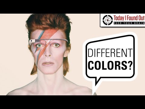 What was Up with David Bowie's Left Eye?