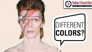 What was Up with David Bowie&#39;s Left Eye?
