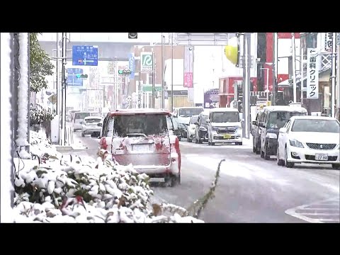 冬のベールを着用する理由 フリースカバー 信頼できる保護基準