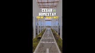 C&Aacute; MẬP MẬP︱Cesar homstay Mũi N&eacute; - Phan Thiết #shorts
