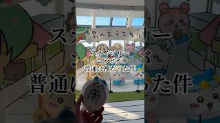 ちい沼リヴァイ #リヴァイ #声真似 #ちいかわ #スカイツリー