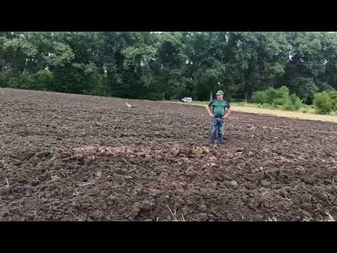 FENDT 1038 VARIO G2 & AMAZONE HEKTOR 1000-8 + FENDT 942 VARIO & Kuhn Challenger 8.