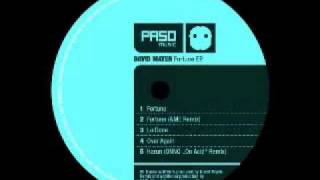 David Mayer - Fortune (Original Mix)