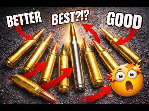 WHOTEEWHO CLIPS and WHO_TEE_WHO