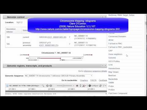 NCBI Gene Database - Overview