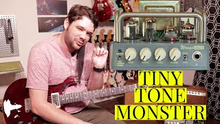 Video thumbnail for Best TUBE Amp for $240?? Wangs MINI 5 Demo And Review! by Lucas Fowler