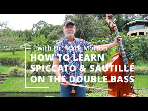 How to Learn Spiccato on the Double Bass