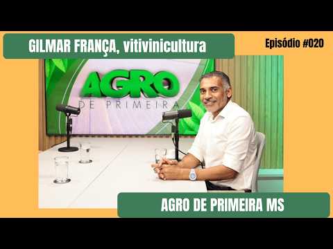 Pioneiro da vitivinicultura em MS quer rota do vinho no estado