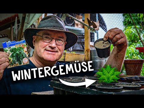 , title : 'Grünkohl & Rotkohl anbauen! 🥬 - Wintergemüse im Garten ernten | Tipps für Gärtner'