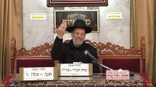 🎉הרב דוד אפללו🎉 🪇ימי חודש אדר🪇 מוסאיוף (בית הכנסת מוסאיוף - ערוץ חדש) - התמונה מוצגת ישירות מתוך אתר האינטרנט יוטיוב. זכויות היוצרים בתמונה שייכות ליוצרה. קישור קרדיט למקור התוכן נמצא בתוך דף הסרטון